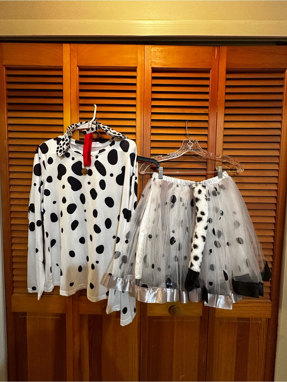 Dalmation Halloween Custome